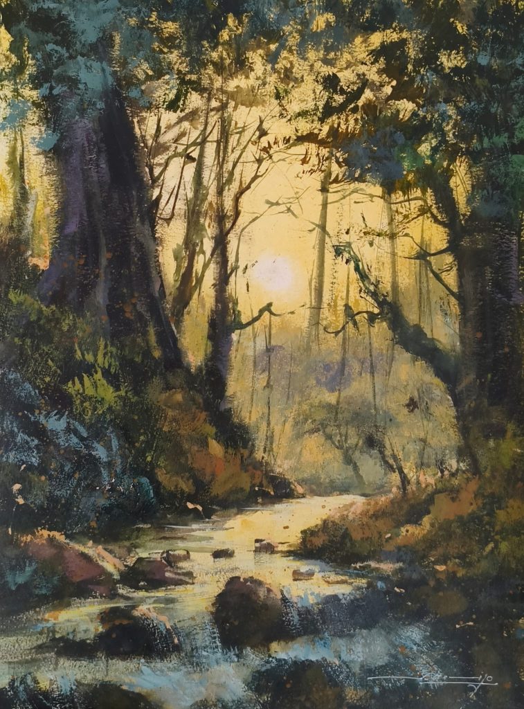 Paisajes y bosques
